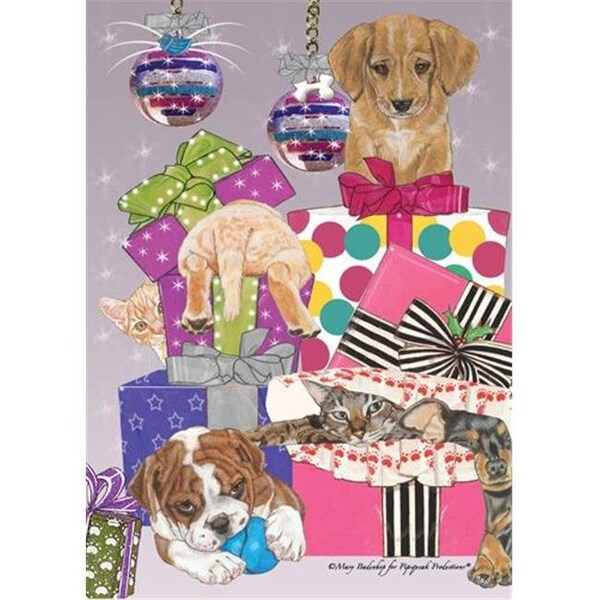 Pipsqueak Productions Pipsqueak Productions C533 Mix Dog With Cat Holiday Boxed Cards C533 - main
